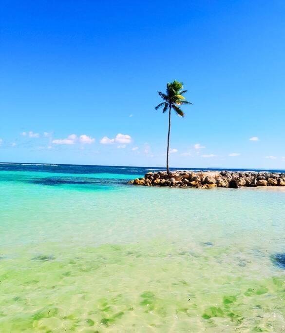 Studio Karaibes Sainte-Anne  Bagian luar foto